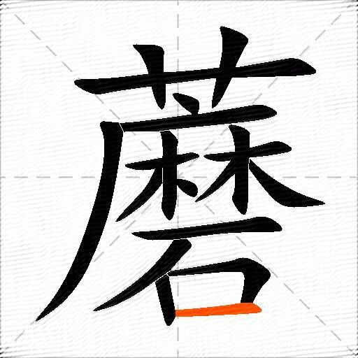 蘑