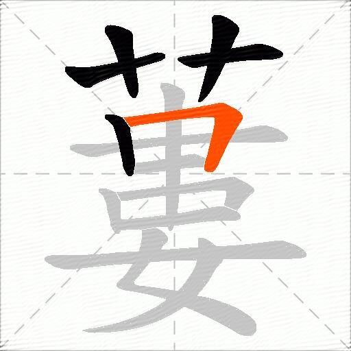 蔞