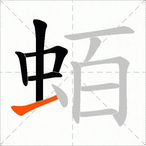 蛨