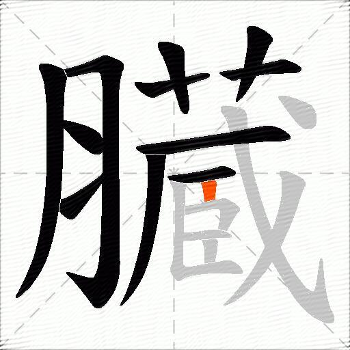 臓