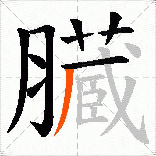 臓