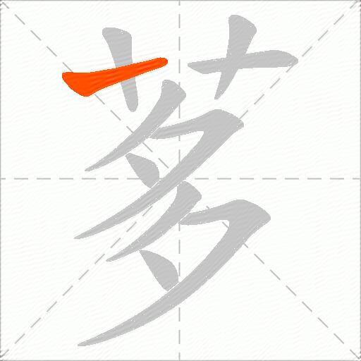 茤