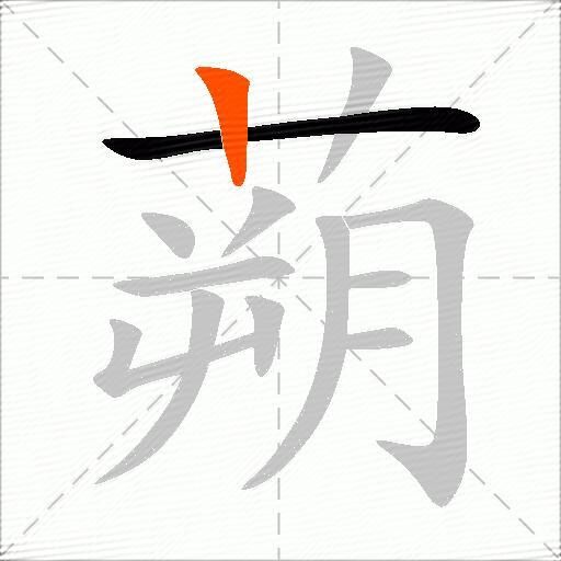 蒴