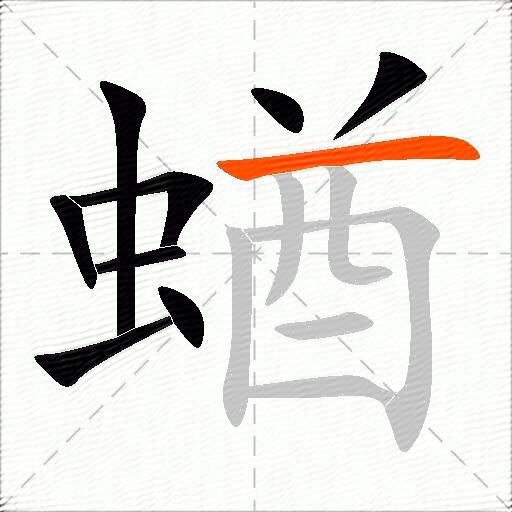 蝤