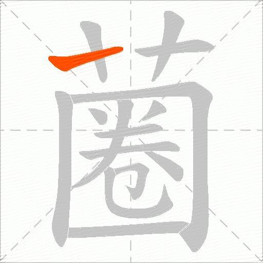 蔨