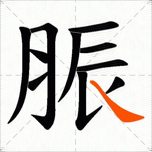 脤