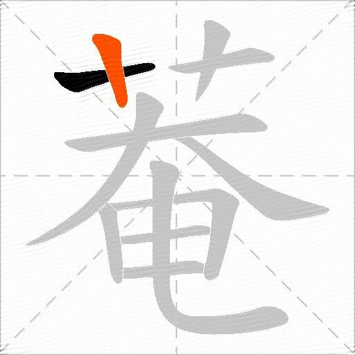 菴