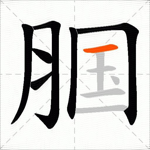 腘