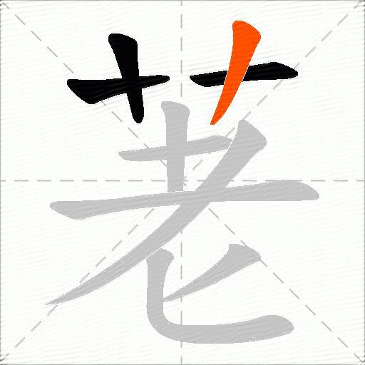 荖