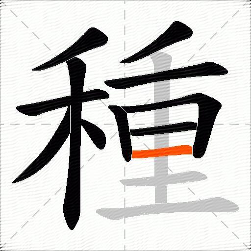 種