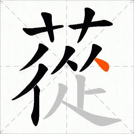 蓯