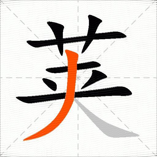 荚