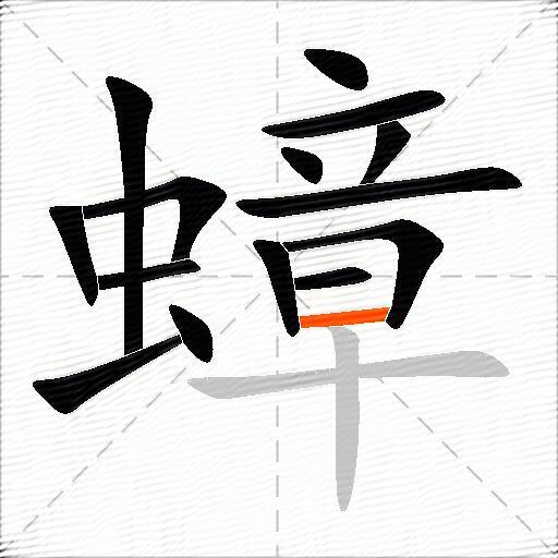 蟑