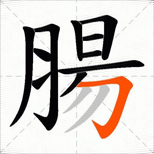 腸