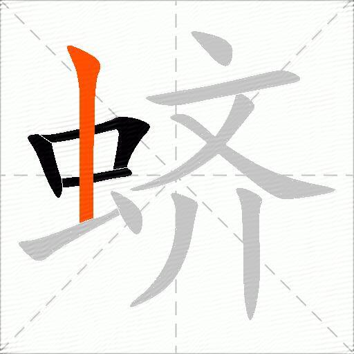 蛴