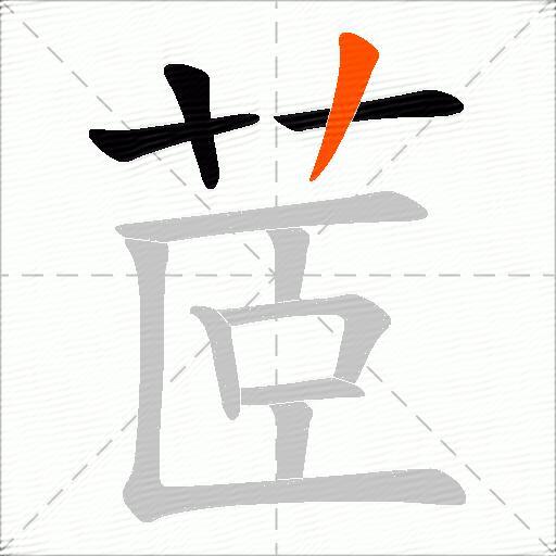 茝