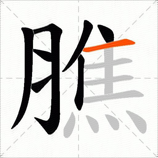 膲