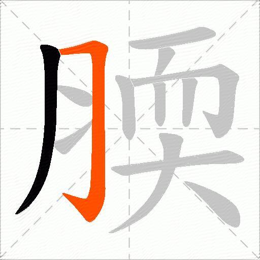 腝