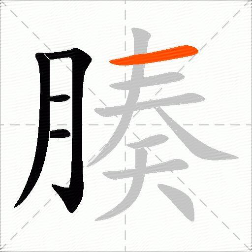腠