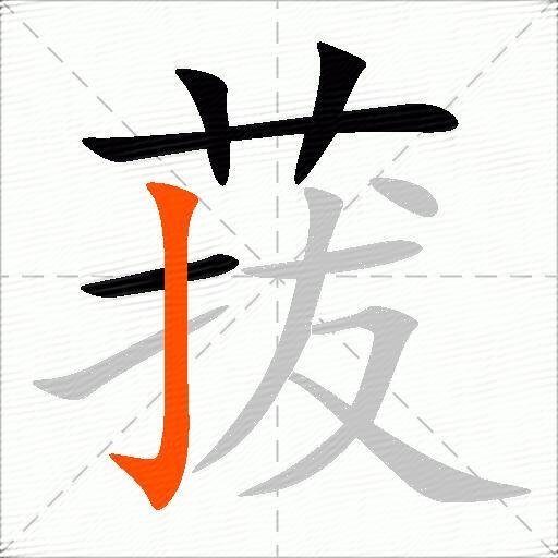 菝