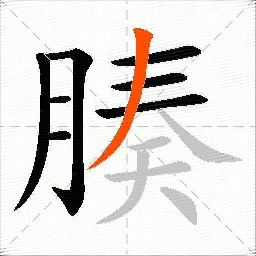 腠