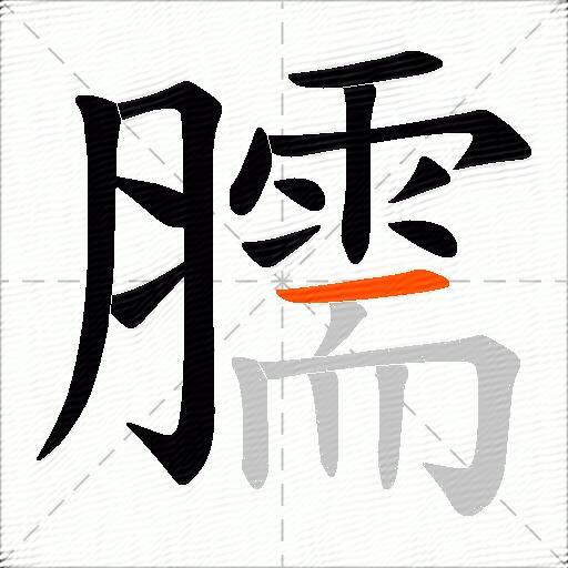 臑