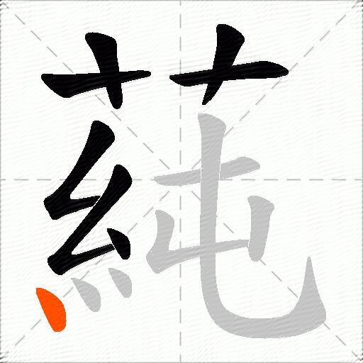 蒓