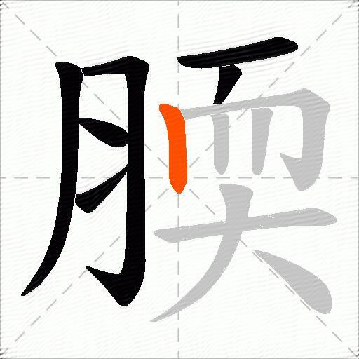 腝