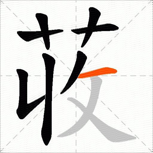 荍