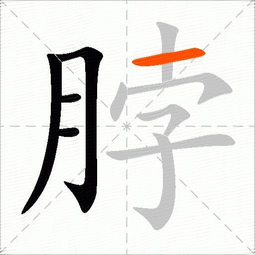 脖