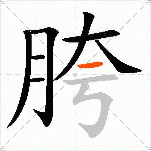 胯