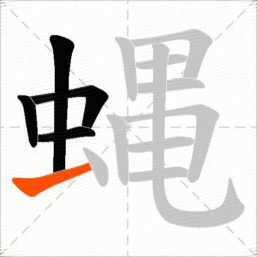 蝿