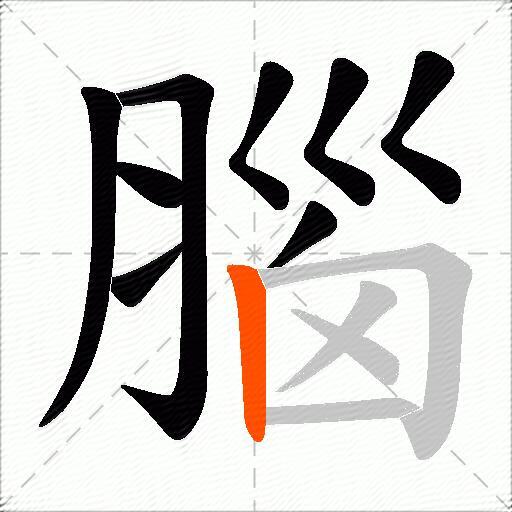 腦