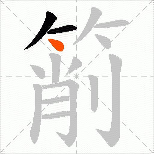 箾