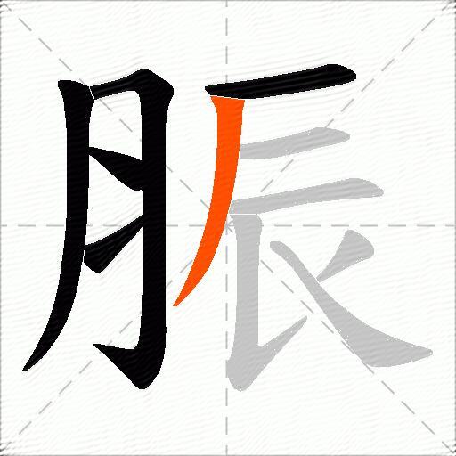 脤