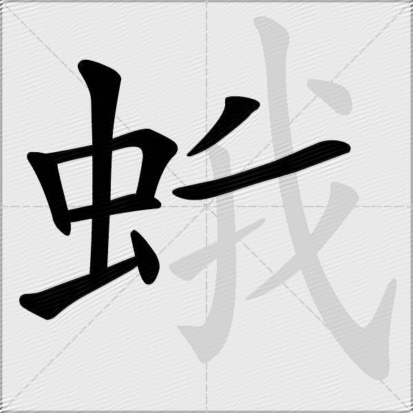 蛾