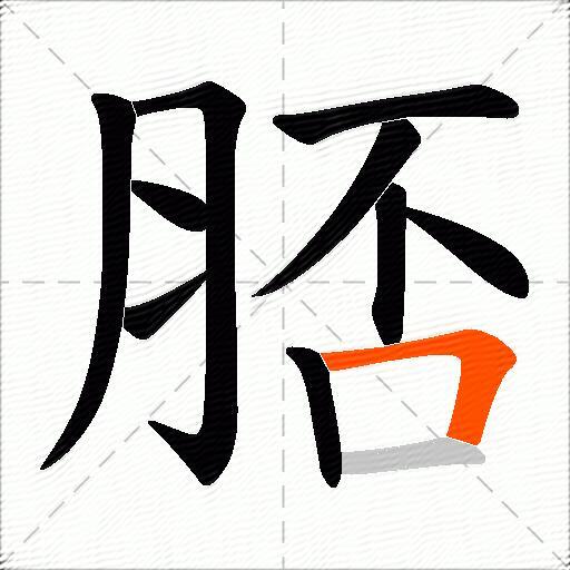 脴