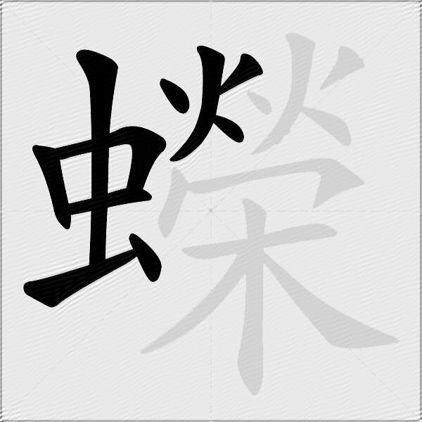 蠑