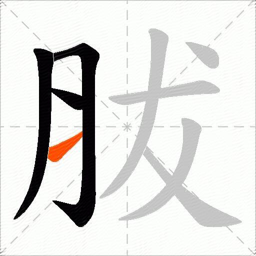 胈
