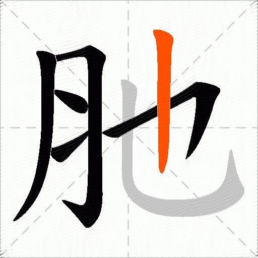 肔