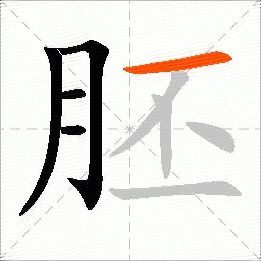 胚