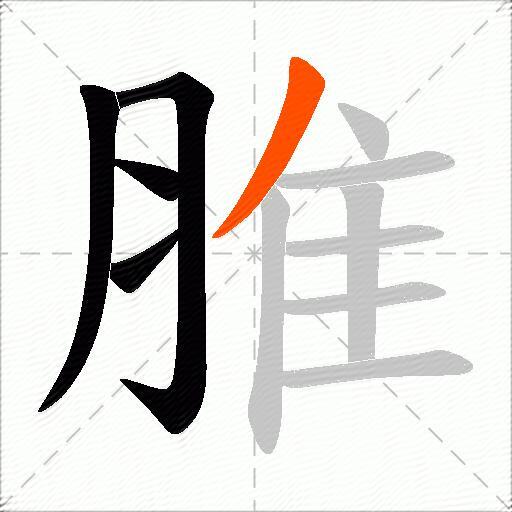 脽