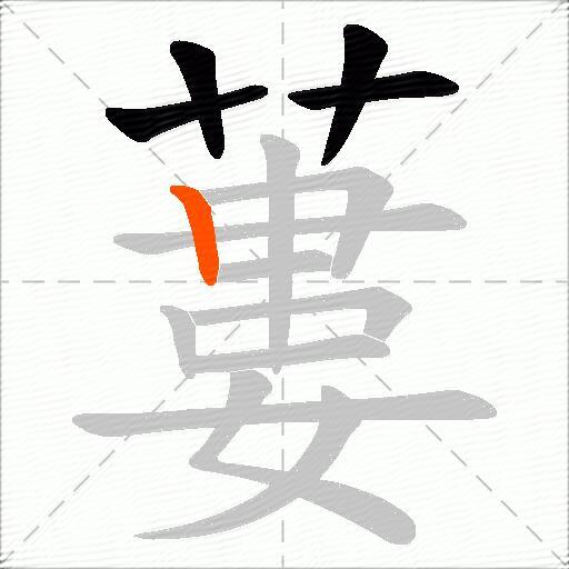 蔞