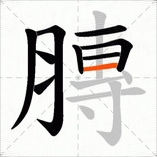 膞