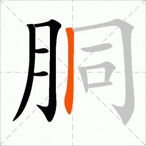 胴