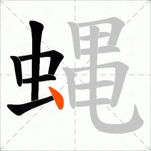 蝿