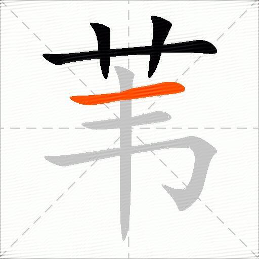 苇