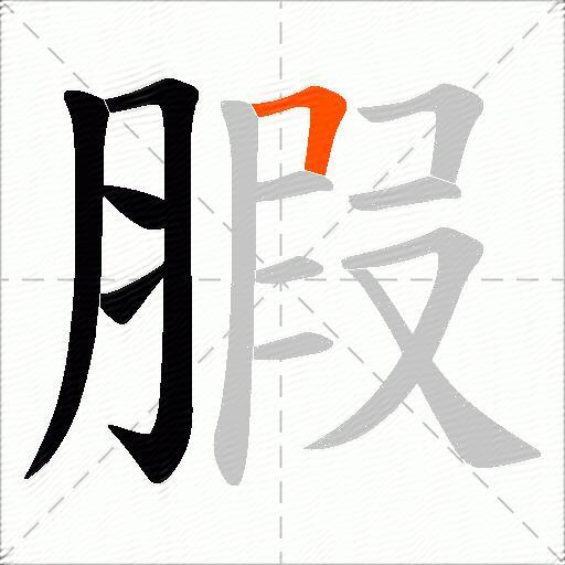 腵
