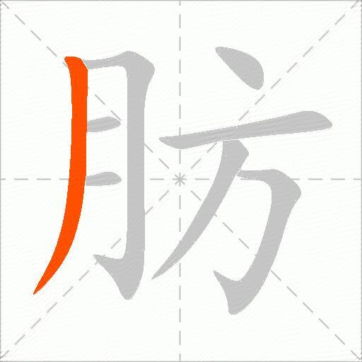 肪