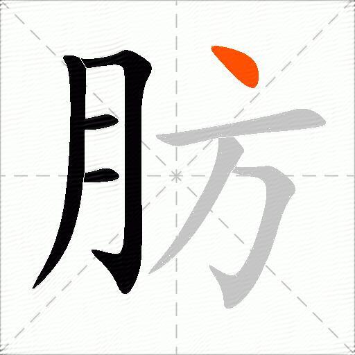 肪
